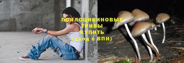 гашик Володарск