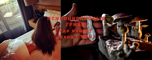 гашик Володарск