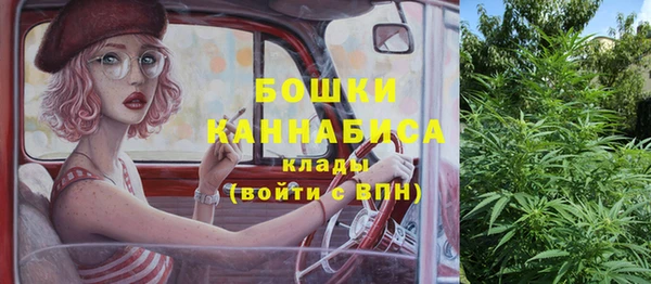 стафф Волоколамск