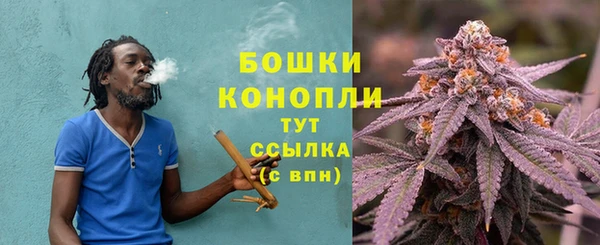 гашик Володарск