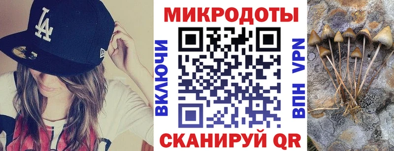 Галлюциногенные грибы прущие грибы  Купить  Перевоз 